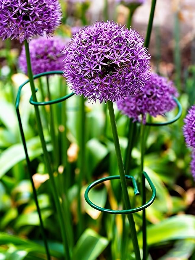 10 Pieces 16 inch Green Single Stem Plant Stakes Garden Plant Support Rings Flower Support Hoops Prop for Amaryllis Orchid Lily Rose Peony