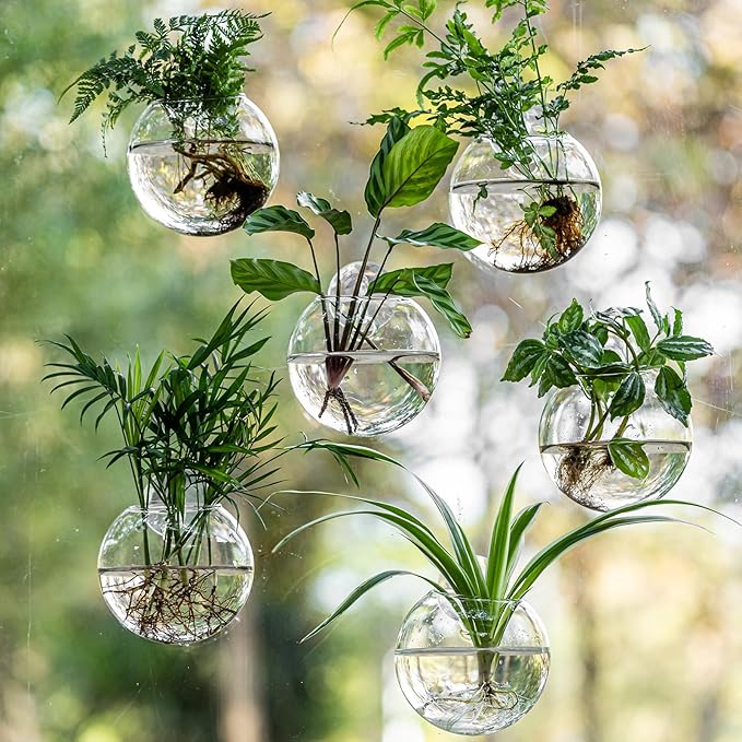 Window Propagation Stations, Oblate Glass Terrariums Planter with Suction Cup Hook, Wall Hanging Planters for Hydroponics Plants, Home, Office, Bathroom, Living Room Decor, Gift for Plant Lovers (6)