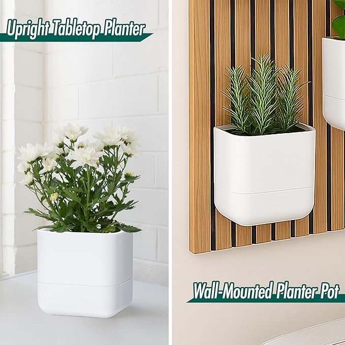 Phoenix Vine 6.5 Inch Wall Mounted Self-Watering Planter Pot for Indoor Houseplants and Herbs | Hanging Planter for Window Sills, Bathroom Walls, Home & Office Décor, White, Set of 1, 01-C-D-1
