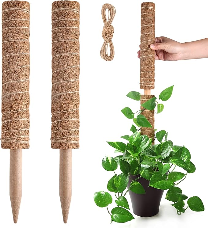 Pisol Moss Pole for Plants Monstera, Extendable Plant Sticks Support, Plant Stakes for Indoor Potted Plant, 15.7'' Coco Coir Pole Plant Trellis for Sphagnum, Pothos and Other Climbing Plants(2 PCS)