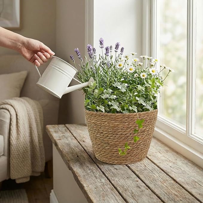5 Pcs Large Premium Seagrass Planter Basket 10.2x7.5x7 Stylish Planter Baskets Woven Wicker Baskets with Plastic Lining for Indoor Outdoor Flower Plants Pots Cover Room Decor
