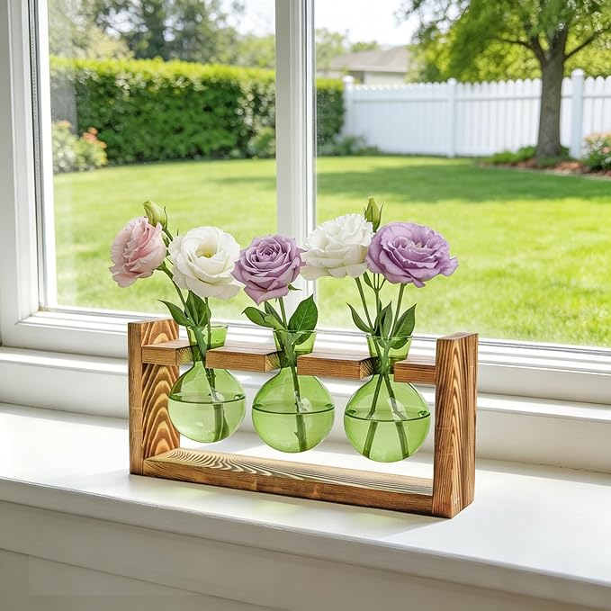 XXXFLOWER 3 Bulb Glass Propagation Station with Wooden Stand, Propagation Vase Propagated Plant Holders Tabletop Planter, Gardening Hydroponics Gift Home Office Indoor Decor (Green)