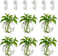 NUPTIO Wall Hanging Planter Terrarium: 4 Inch Glass Air Plant Holder 6PCS Propagation Indoor Floral Vase Flat Round Hydroponic Container Wall-Mounted Floating Pots for Bathroom Balcony Greenhouse