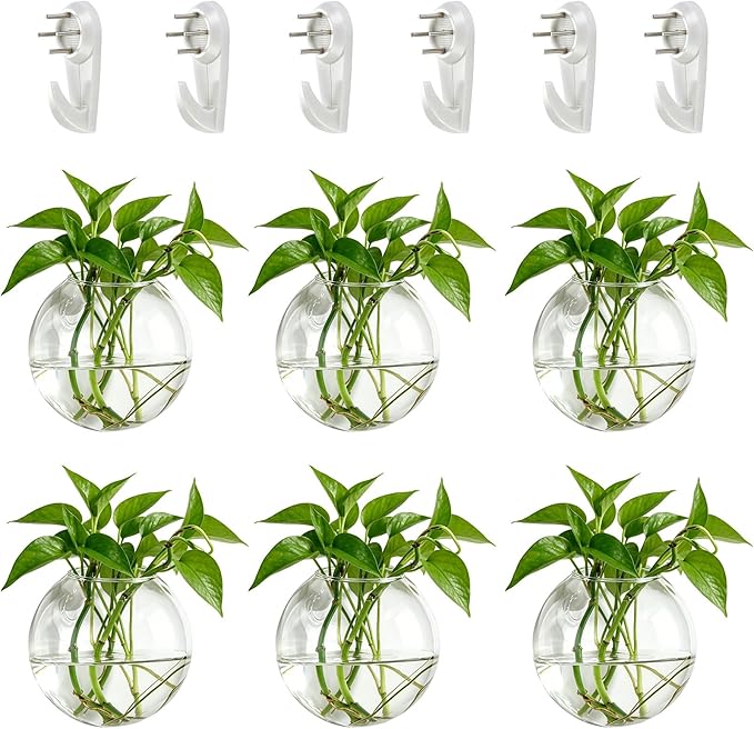 NUPTIO Wall Hanging Planter Terrarium: 4 Inch Glass Air Plant Holder 6PCS Propagation Indoor Floral Vase Flat Round Hydroponic Container Wall-Mounted Floating Pots for Bathroom Balcony Greenhouse