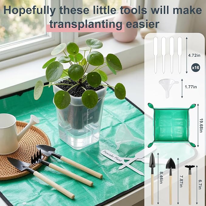 TREWAVE 16 Pack 2" Mini Self Watering Pots for Indoor Plants, Small Clear Plastic Planters with Drainage Holes, Propagation Pots for Alocasia Corms, African Violets, and Succulents