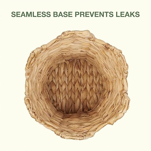 84ECO 2-Pack Scalloped Waste Baskets for Bathroom, Bedroom, Office - Scalloped Decor