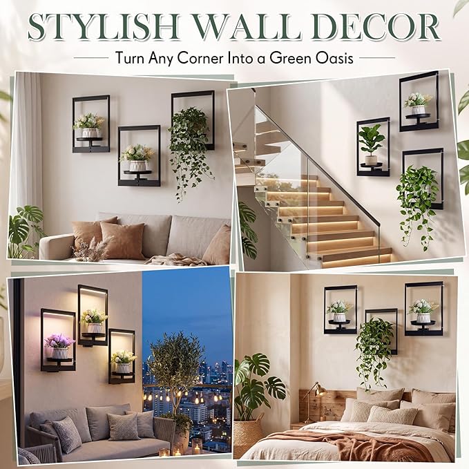 3 Pack Wall Plant Holders with Remote Grow Lights, Indoor Plants Holders, Plants Shelves Hanging Planters, Wall Mounted Framed Plant Holder for Indoor Living Room Decor