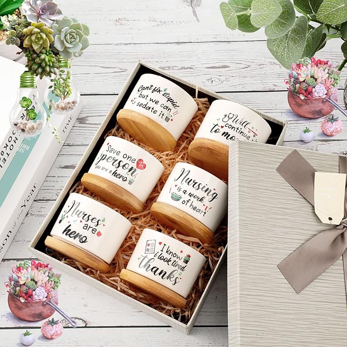 Potchen 6 Pcs Best Nurse Ever Gifts Nurses Day Gifts Nurse Appreciation Gifts Nurses Week Gifts Nurse Graduation Nurse Practitioner Gifts Succulent Plant Pot Gifts Set for Women (Nurse Style)