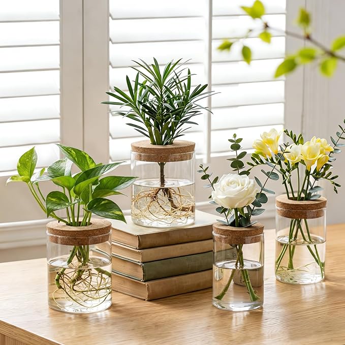 Dahey 4Pcs Glass Plant Propagation Stations Desktop Propagation Vases for Plants, 2 Large Planters Jars & 2 Small Pots Vases for Indoor Hydroponic Plant Cuttings, Living Room Home Office Bedroom Decor
