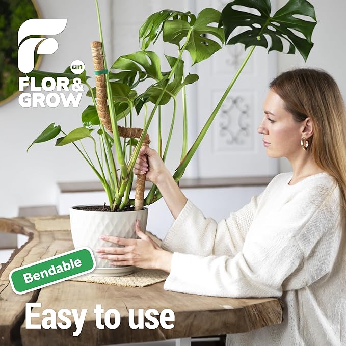 2 Pack 28" Sturdy Easy to Use Moss Pole Monstera Plant Support Stakes - Plant Stakes for Indoor Plants, Moss Poles for Climbing Plants, Tutores para Plantas Trepadoras Monstera Support Sticks