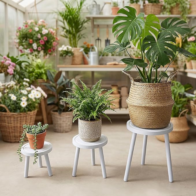 Amdermi 3-Pack Wood Plant Stands Indoor, Single Plant Stand for 6-12 Inch Pots, Mid-Century Modern Plant Stool, Tall Plant Stand for Large Plants for Living Room, Balcony, Office (White)