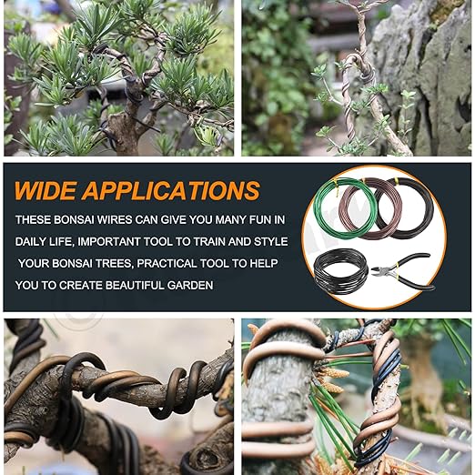 5Pcs 3 Colors Bonsai Training Wire with Wire Cutter Kit, Anodized Aluminum Bonsai Wire Tools for Holding Bonsai Plant Branches Small Trunks - 164 Feet 1.0MM 1.5MM 2.0MM 3.0MM