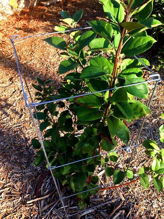 46" Height 12" Width 2PCS Galvanized Square Folding Tomato Cage,Plant Support Stake Tower