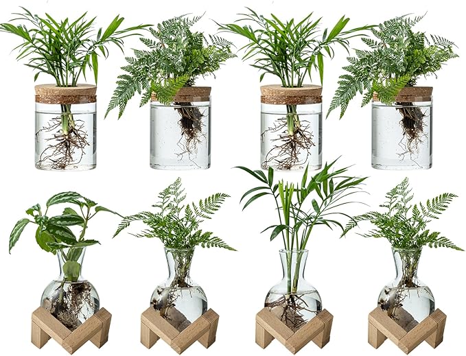 Plant Propagation Station, 2 Style Glass Planter Terrarium Set for Hydroponic Plants | Home Office Tabletop Decor, Gardening Gifts for Women, Mom, Plant Lovers (8)