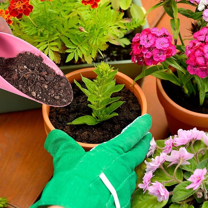 HINZIC 12pcs Garden Shovel Hand Tools Transplanting Succulent Cultivation Digging Scoops Kits Plastic for Flower Planting Bonsai Potting Soil Indoor(Pink Blue Green)