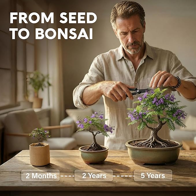 AVERGO Bonsai Tree Kit Deluxe - 5X Unique Japanese Bonzai Trees | Complete Indoor Bonsai Starter Kits from Seeds to Trees – DIY Gardening Gifts for Mother's Day, Women & Men