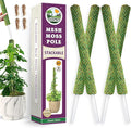 DUSPRO 4 Pack 22" Green Stackable Mesh Moss Pole for Plants – Extendable Up to 71", Natural Forest Moss Pole Monstera Plant Support, Moss Stick for Climbing Plants, Indoor Plant Stakes Accessories
