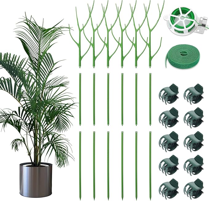 ROADPLUM 6 Pack 39.37" Detachable Twig Plant Support Stakes Set, Blends in to Plant, Branch Plant Sticks with Orchid Clips Twist Plant Ties, Twig Trellis for Indoor Outdoor Plants Potted Plants Flower