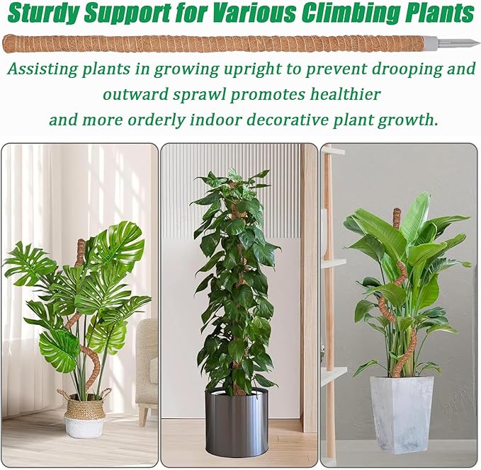 3-Pack Tall Moss Poles (50 Inch) - Coco Coir Plant Support Sticks for Potted Plants (Monstera, Pothos, Philodendron)
