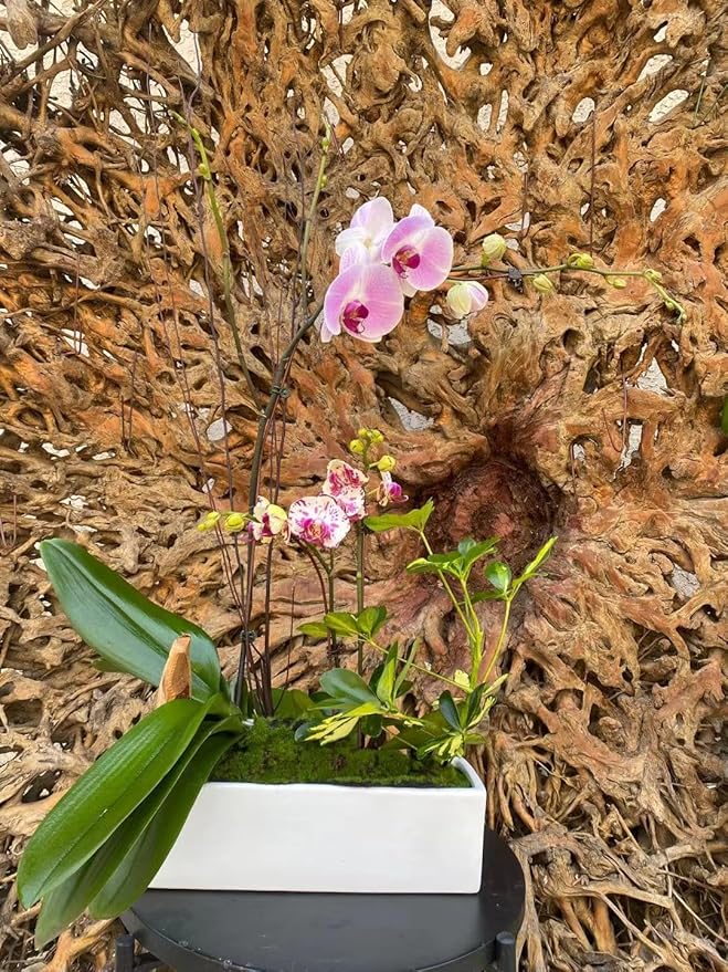 WGVI Long Rectangle Ceramic Planter Vase in White 12" x 4" x 4"H, Block Rectangular Terrarium Box Pot, Flower Arrangement, Table top Centerpiece, Home Decor Organization Storage Container, 1 Pc.