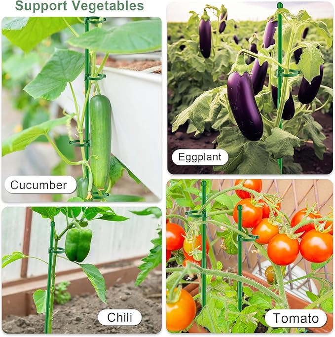 30Pcs Plant Support Stakes 17 inch SupKing Garden Orchid Sticks Extended to 3ft 4ft 5ft Plant Poles with Clips for Indoor Outdoor Potted Tomato Rose Amaryllis Vegetables Comes with 20 Ties（Green）