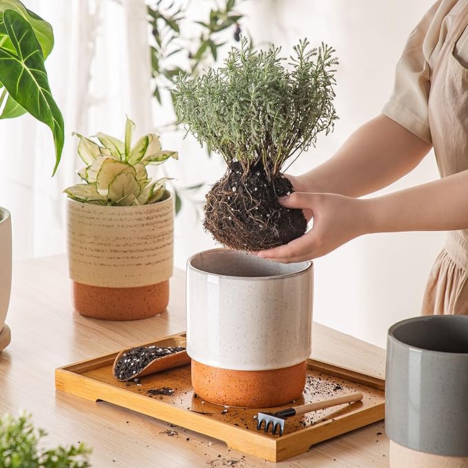 Self Watering Plant Pot: 6 Inch Ceramic Planter with Drainage Hole & Water Storage Plus - Flower Pot for Indoor & Outdoor Plants (Retro Grey, Small)