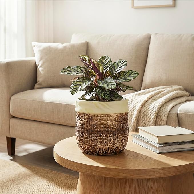 6 Inch Plant Pot - Ceramic Pots for Plants with Drainage Hole and Plug, Unique Plant Pots for Indoor Outdoor Plants, Round Planter, Room Home Decor, Gifts for Plant Lovers, Brown