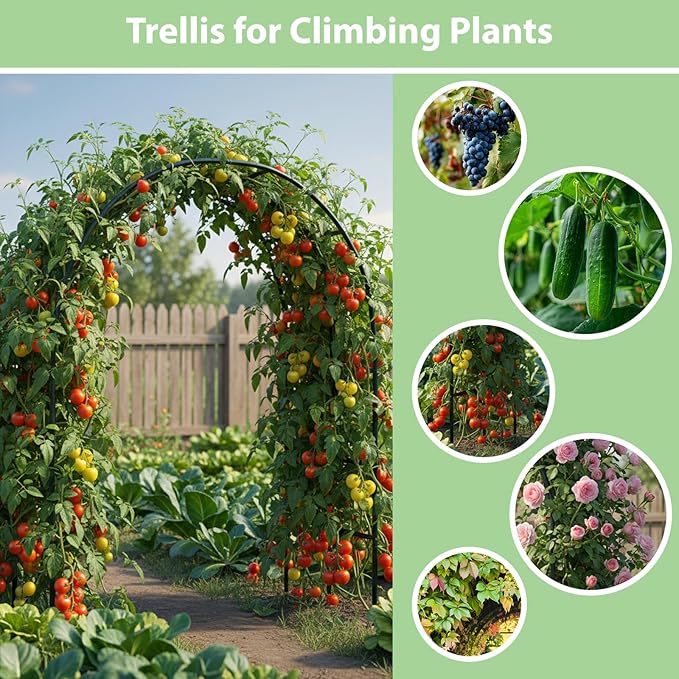 RUBFAC 7.8ft Metal Garden Arch Trellis for Climbing Plants Outdoor, Garden Arbors and Arches, Halloween Archway for Pumpkin Balloon Rose Vines Wedding Christmas Birthday Party Decorations, Army Green