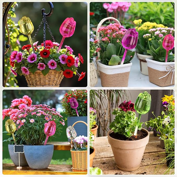 VZZNN 6 Set Self Watering Globes - Automatic Plant Watering System with Spikes for Indoor & Outdoor Plants, Glass Bulbs for Potted Houseplants Vacation Care