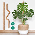2-Pack 28in Bendable & Sturdy Moss Pole for Climbing Plants, Coco Coir Plant Support Stakes for Monstera, Pothos Vines, Philodendron, Fishbone Cactus & Indoor Tropical Houseplants