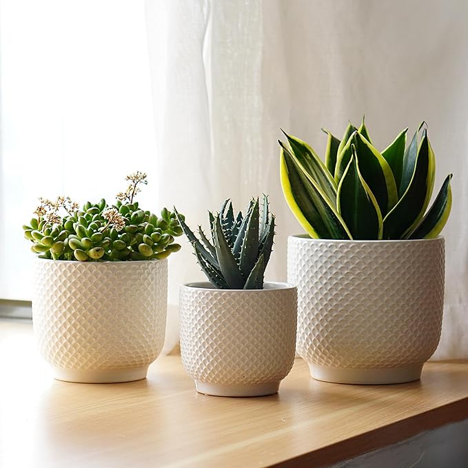 4 + 5 + 6 Inch Ceramic Pots for Indoor Plants, Succulents Plant Pots, Orchid Flower Pot with Drainage Hole, Modern Clay Stoneware Planters, Set of 3 (White, 4+5+6 Inch)