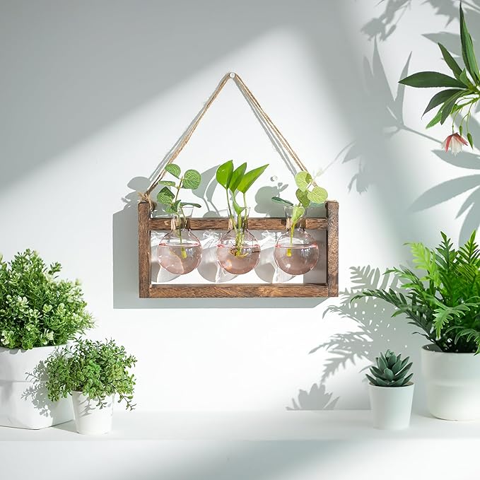 Plant Propagation Station with Wood Stand - Wall Glass Terrarium for Cuttings Air Plants Small Flower Pothos - Gift for Women Plant Lovers (Gradient Pink)