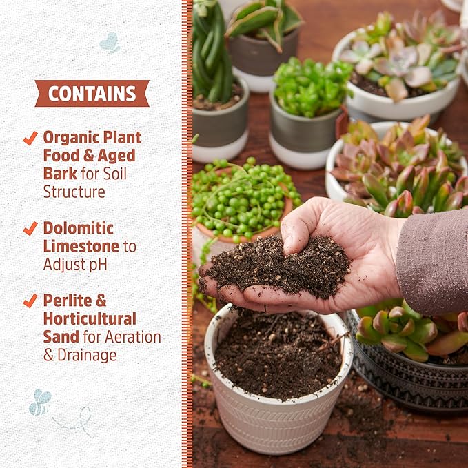 Back to the Roots 100% Organic Succulent & Cacti Mix (6 Quart) | Made in the USA | Premium Nutrition for Indoor and Outdoor Plants