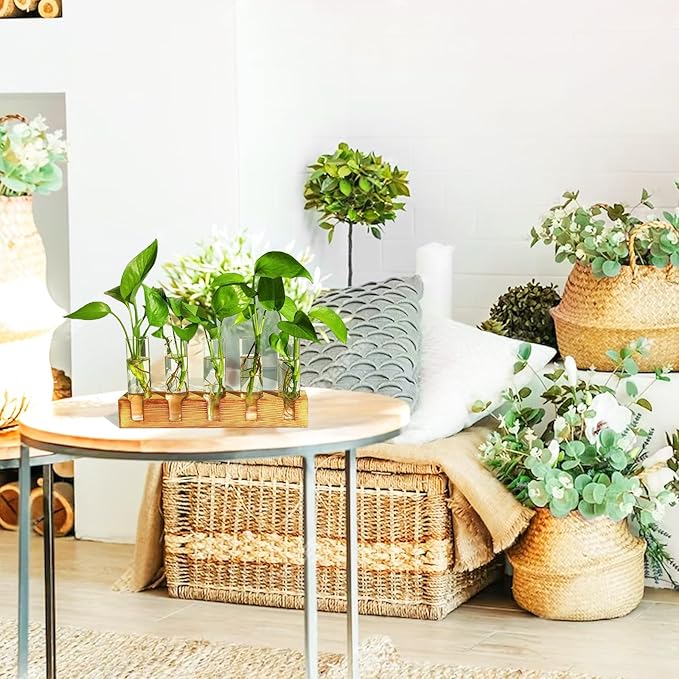 Renmxj Plant Propagation Station, Plant Terrarium with Wooden Stand, Plants Pots for Hydroponics, Small Birthday Gardening Gifts for Women Mom Plants Lovers Unique - 5 Glass Test Tubes Vases