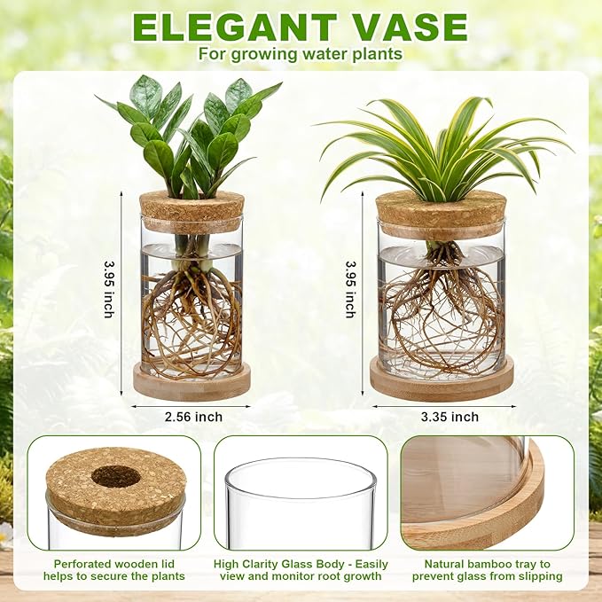6 Pack Glass Plant Propagation Stations Hydroponic Vases with Wooden Saucer Small Glass Jar Planters Plant Station Bud Vases for Desks Home Garden Office Decorations