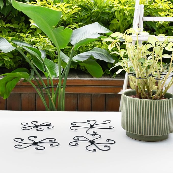 Yohsnor Monstera Plant Support Hook - 4.1x4.1IN 5PCS, Durable Adjustable Stem Support System, Gentle Protection for Monstera and Fishbone Cactus, Professional Indoor Plant Stabilizer