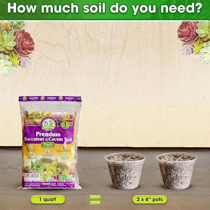 DUSPRO Succulents Soil Potting Mix – 7 in 1 Ingredients Well-Draining, Nutrient-Rich Cactus Potting Soil for Succulents and Cacti, Indoor & Outdoor Use, Ready to Use, Supports Healthy Root Growth, 1QT