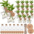 Baderke 24 Pack 3.74'' Plastic Plant Propagation Stations with Hole Lid 5oz Planter Vase Clear Propagation Jars with Thank You Tags for Plant Lover Gifts for Women Office Home Garden