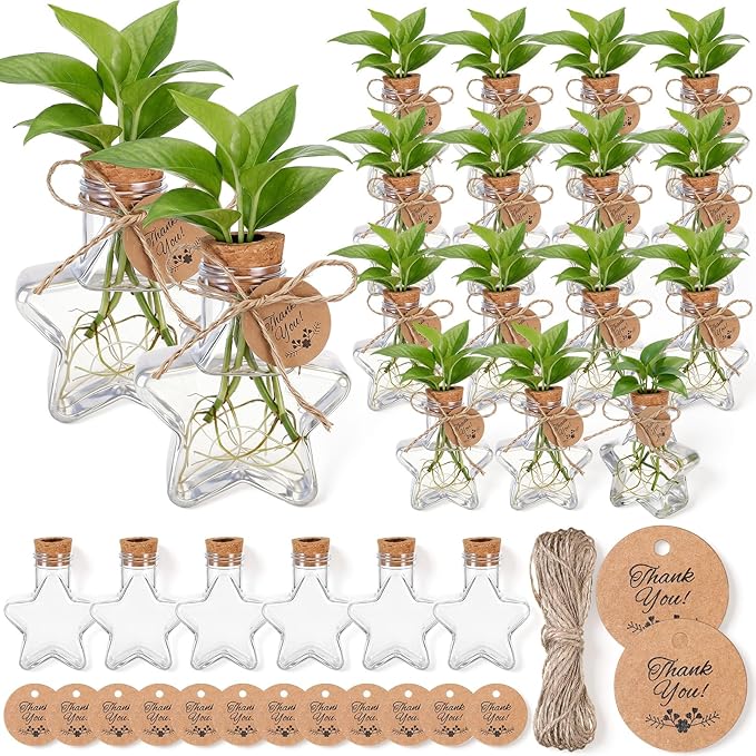 Baderke 24 Pack 3.74'' Plastic Plant Propagation Stations with Hole Lid 5oz Planter Vase Clear Propagation Jars with Thank You Tags for Plant Lover Gifts for Women Office Home Garden