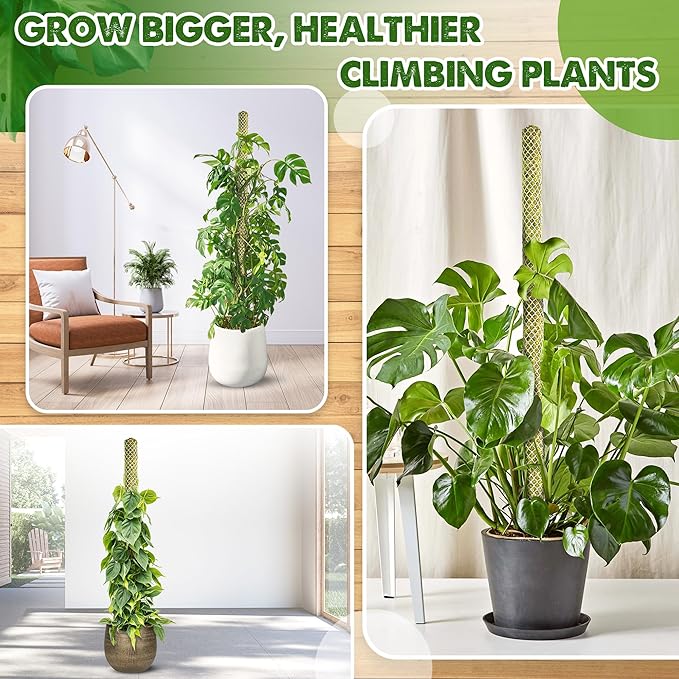 DUSPRO 2 Pack 22" White Stackable Mesh Moss Pole for Plants – Extendable Up to 39", Natural Forest Moss Pole Monstera Plant Support, Moss Stick for Climbing Plants, Indoor Plant Stakes Accessories