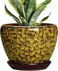 6 Inch Ceramic Plant Pots - Ceramic Pots for Plants Indoor Outdoor, Decorative Round Planter with Drainage Hole and Tray, Small Flower Pot, Bedroom Decor, Plant Lover Gifts, Yellow Leopard