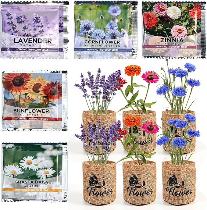 Indoor Daisy Garden Starter Kit with Gardening Tools - Planter Bags, Markers, Soil Disks and Shears, Home Gardening Gifts for Women Men Plant Lovers