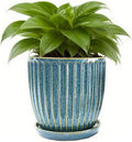 6-Inch Ceramic Plant Pots with Drainage Hole, Flower Pots Planters Pots for Indoor Plants, Flower Pots for Indoor/Outdoor Plants - Succulent, Snake Plant, Money Tree, Basil Planter, Glaze Blue