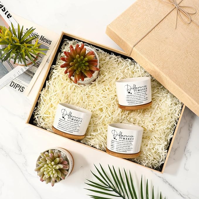 12 Pcs Difference Maker Employee Appreciation Gifts Succulent Pots Bulk Inspirational for Coworker Team Small Ceramic Plant Pots with Bamboo Trays for Office Staff Women Men