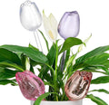 Adoric Plant Watering Globes Self Watering Planter,Automatic Plant Watering Devices, Insert Spikes Drip Devices, Plastic Watering Bulbs for Indoor & Outdoor Plants, 4 Tulips