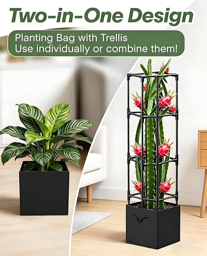 Dragon Fruit Trellis for Climbing Plants Indoor Outdoor, Heavy Duty Metal Adjustable Vertical Garden Support for Indoor Outdoor Potted Plants, Tomato, Cactus, Roses,Vines(12 * 12 * 47inch,1PC)