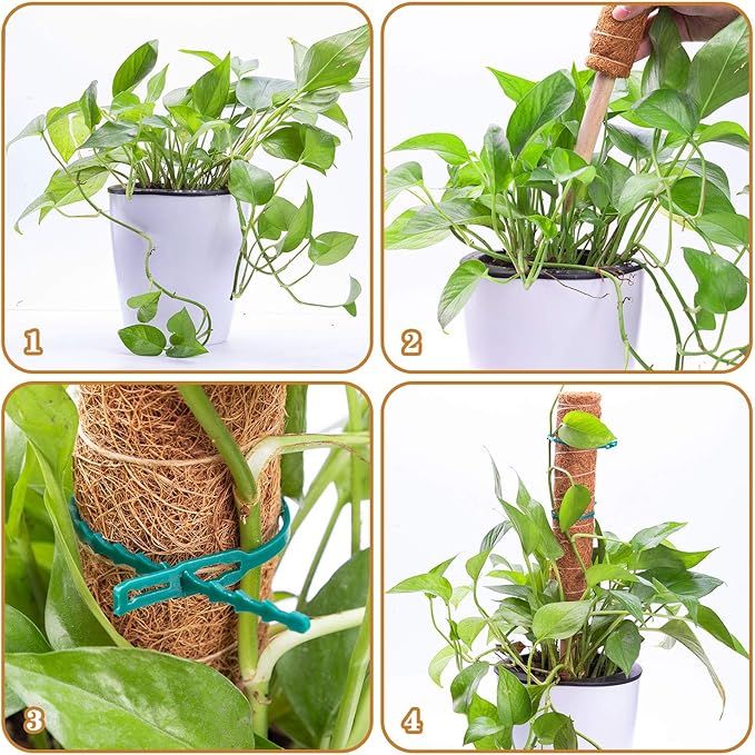 2 Pcs 12 Inches Coir Moss Poles for Climbing Plants with 4 Pcs Adjustable Plant Twist Ties - Coir Moss Totem Stick for Creepers Plant Support Extension, Climbing Indoor Plants(Total 20 Inch)