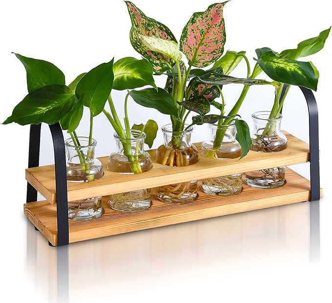 VIKEYHOME Plant Propagation Station with Wood Stand, Desktop Terrarium for Hydroponic, Flower Vase for Home, Kitchen, Office Decor, Plants Lover Gifts