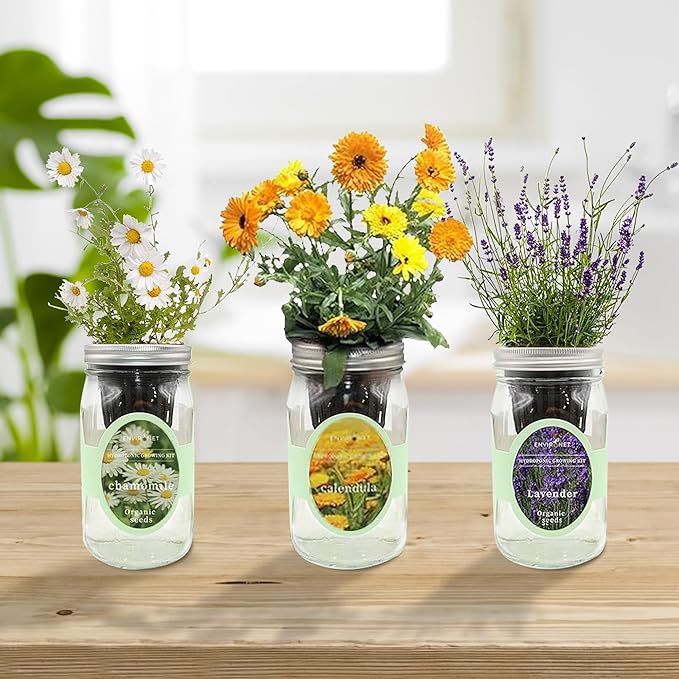 Hydroponic Herb Growing Kit Set, Self-Watering Mason Jar Herb Garden Starter Kit Indoor, New Christmas Gift for Mom (Calendula, Chamomile & Lavender)