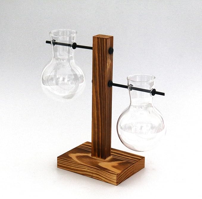 Wooden Base Glass Vase - Plant Holder & Propagation Station for Hydroponic Plants, Desktop Terrarium with Wooden Stand, Stylish Home & Office Décor, Great Gift for Plant Enthusiasts (FGJ-2B)
